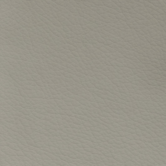 Supple Silicone Leather Greige