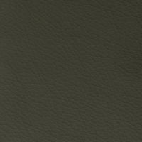 Supple Silicone Leather Sage