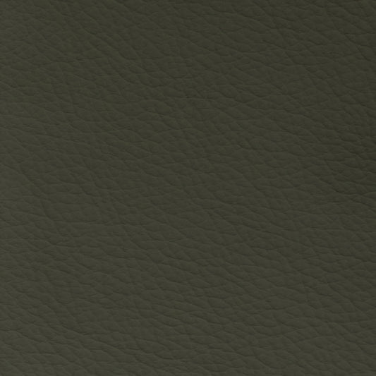 Supple Silicone Leather Sage