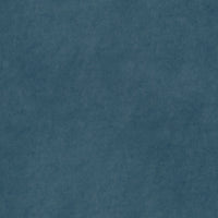 Performance Velvet Wedgwood